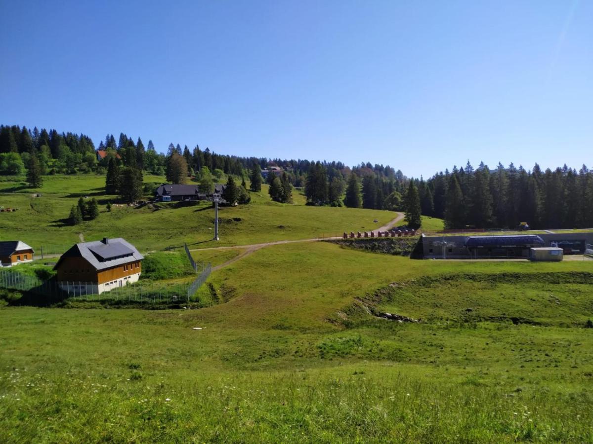 Ferienwohnung mit Whirlpool&Balkon, direkt an der Skipiste/an den Wanderwegen Feldberg  Buitenkant foto