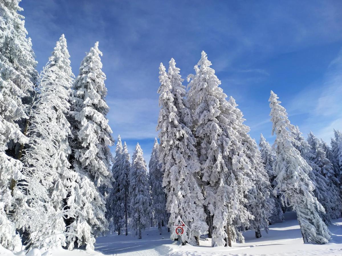 Ferienwohnung mit Whirlpool&Balkon, direkt an der Skipiste/an den Wanderwegen Feldberg  Buitenkant foto