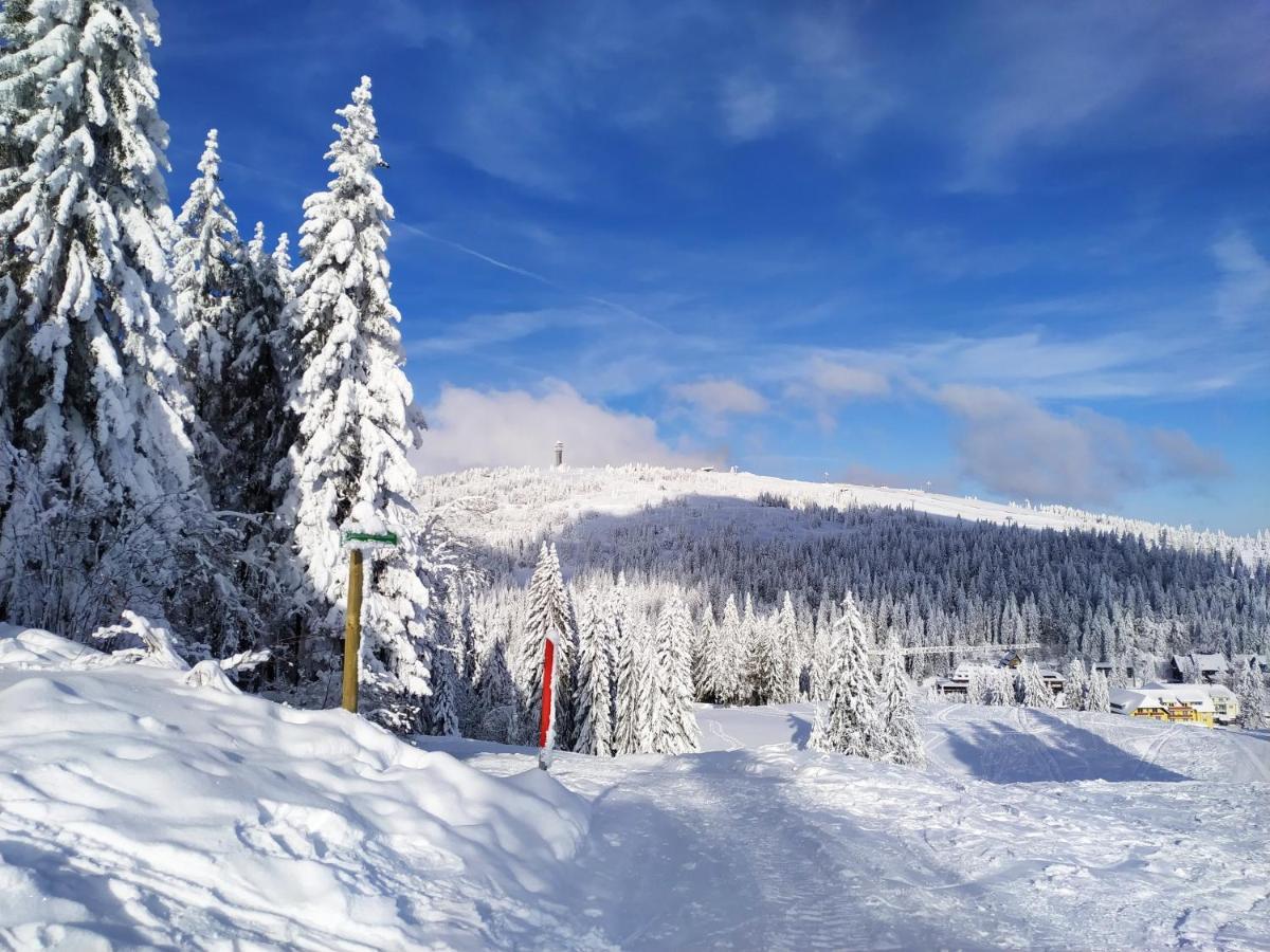 Ferienwohnung mit Whirlpool&Balkon, direkt an der Skipiste/an den Wanderwegen Feldberg  Buitenkant foto