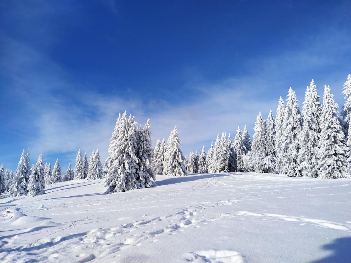 Ferienwohnung mit Whirlpool&Balkon, direkt an der Skipiste/an den Wanderwegen Feldberg  Buitenkant foto