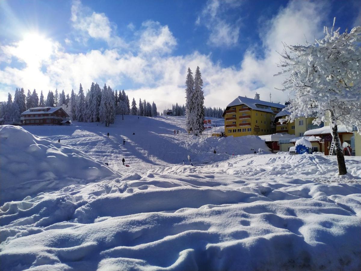 Ferienwohnung mit Whirlpool&Balkon, direkt an der Skipiste/an den Wanderwegen Feldberg  Buitenkant foto