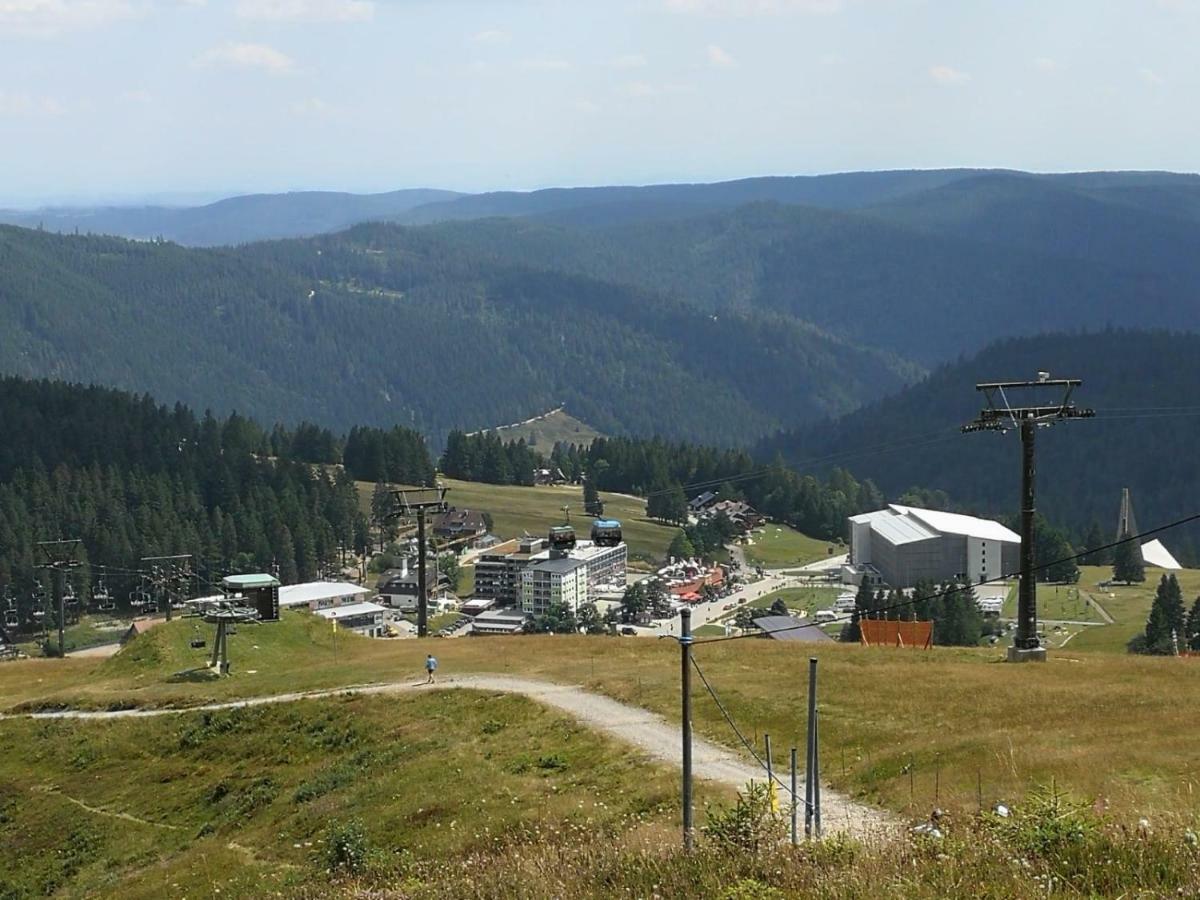 Ferienwohnung mit Whirlpool&Balkon, direkt an der Skipiste/an den Wanderwegen Feldberg  Buitenkant foto